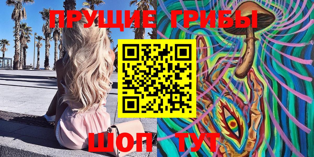 Ессентуки  Псилоцибиновые грибы мухоморы  Вход с VPN 